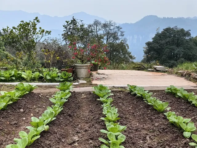 今日（12月4日）峨眉
