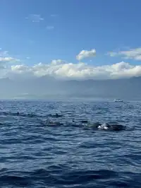 在巴厘島追到了!凌晨五點出海 被狠狠獎賞