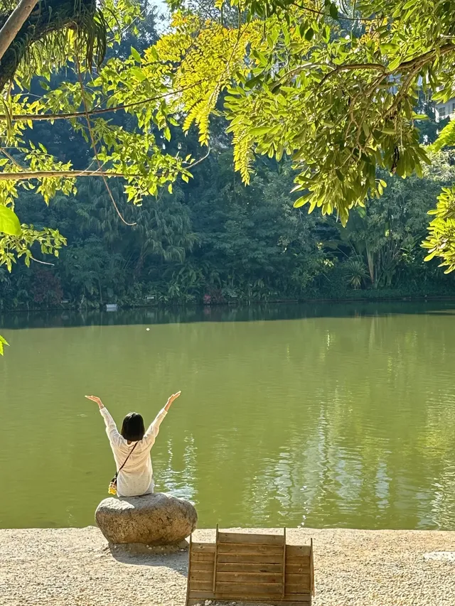 曼聽公園有自己的翡翠湖(附攻略 曼聽公園有自己的翡翠湖(附攻略