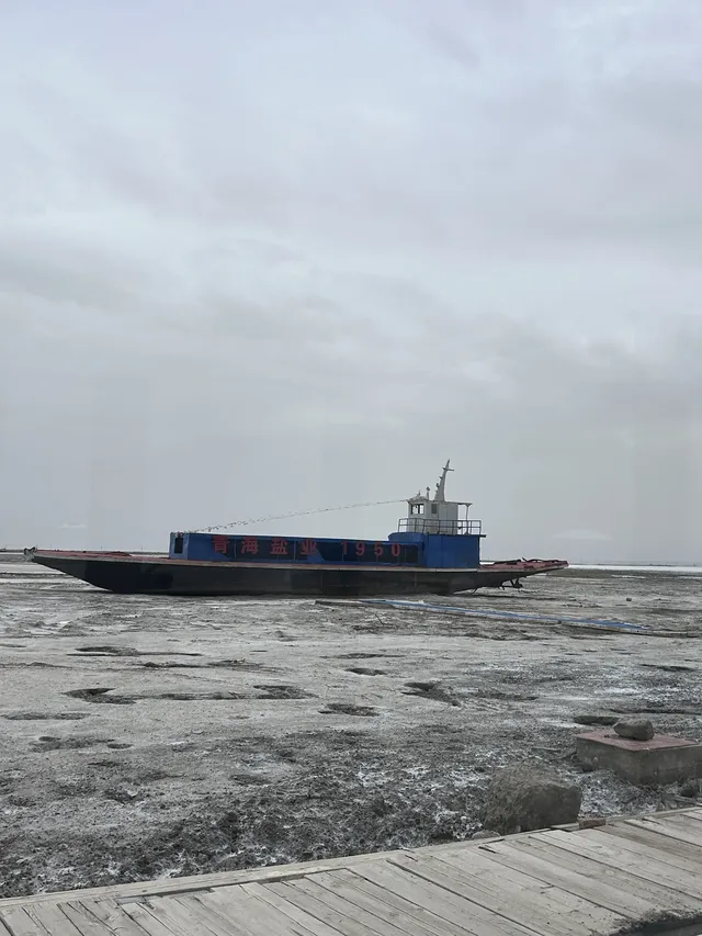 溜了溜了!大西北拜拜! 溜了溜了!大西北拜拜!