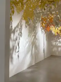 西安citywalk|“paper maze”國際紙藝展