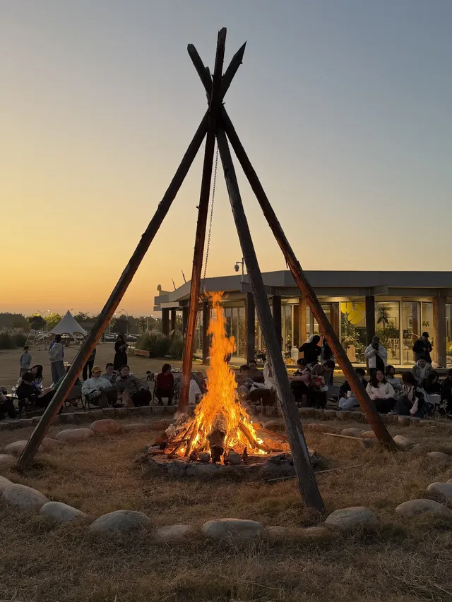蘇州陽澄湖｜帶快樂小狗來草坪撒歡打滾