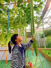 佛山農科院|限時免費開放最全攻略來啦