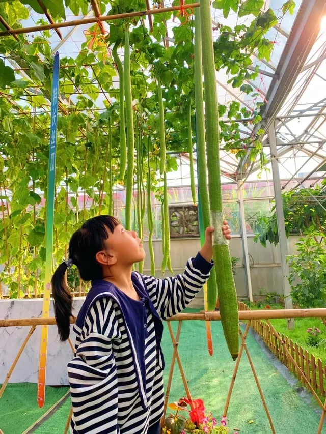 佛山農科院|限時免費開放最全攻略來啦 佛山農科院|限時免費開放最全攻略來啦