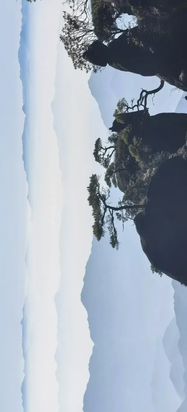 上海出發~三清山篁嶺兩日遊(三清山篇) 上海出發~三清山篁嶺兩日遊(三清山篇)