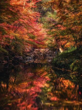 12.10 Live from Jiuxi, Hangzhou in its prime autumn season (with route