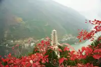 巫山龍脊看紅葉｜懶人零難度路線