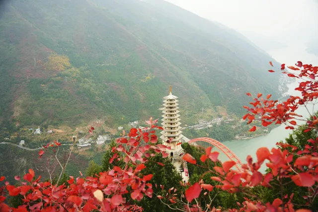 巫山龍脊看紅葉｜懶人零難度路線