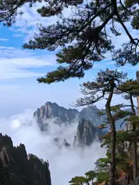 蕪湖黃山四日遊