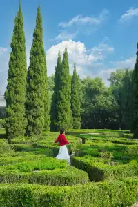 抄作業「本地人」怒推的武漢遊行程