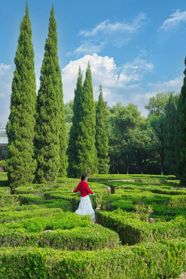 抄作業「本地人」怒推的武漢遊行程 抄作業「本地人」怒推的武漢遊行程