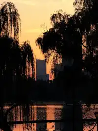 南京玄武湖 |接受落葉和降溫的風