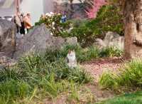 靜安雕塑公園必玩攻略治癒系路線