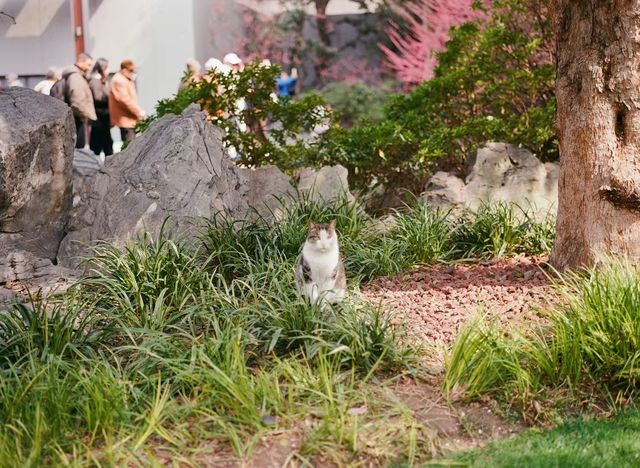 靜安雕塑公園必玩攻略治癒系路線 靜安雕塑公園必玩攻略治癒系路線