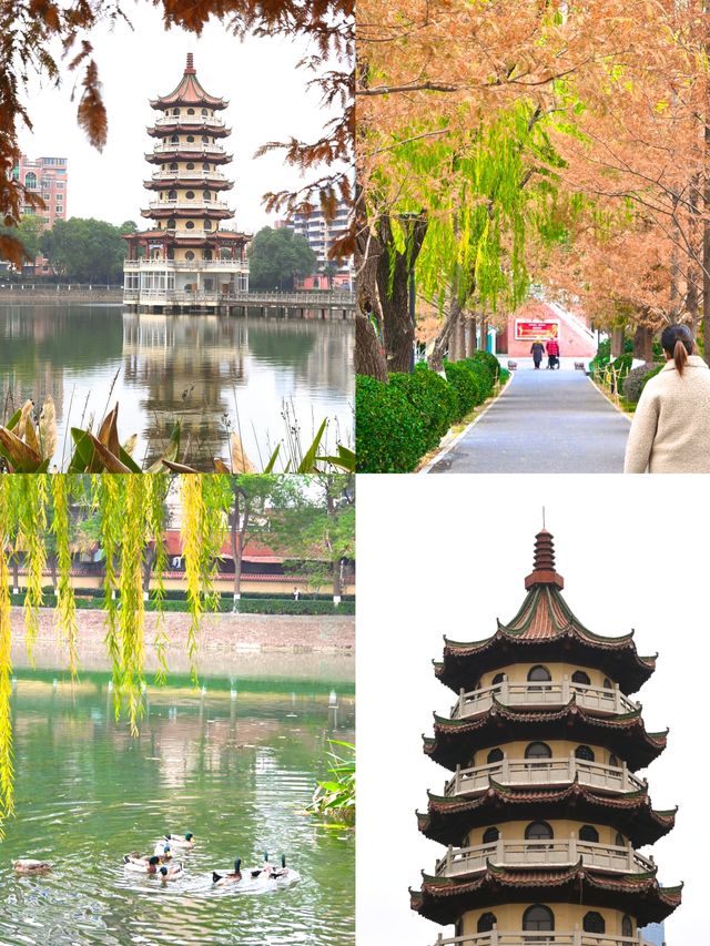 探訪寶島公園:都市中的靜謐一隅 探訪寶島公園:都市中的靜謐一隅