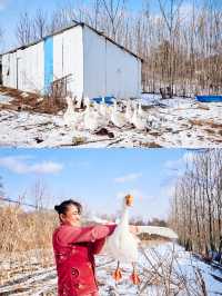 第N次來長白山,我把時間留給這個童話小鎮