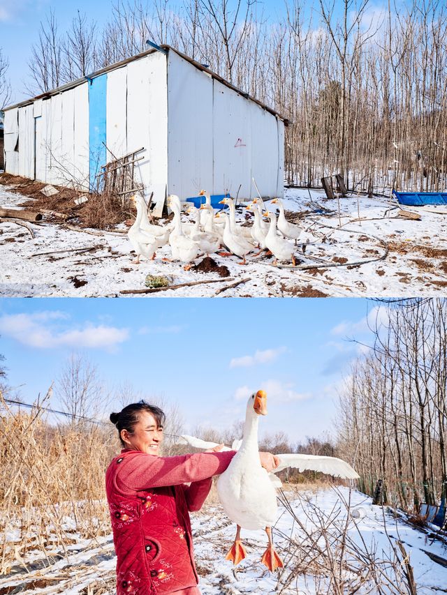 第N次來長白山,我把時間留給這個童話小鎮 第N次來長白山,我把時間留給這個童話小鎮
