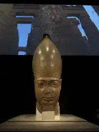 貓咪木乃伊你有看過嗎?