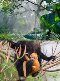 絕了!崇左+涠洲島6天5晚親子遊攻略,娃玩到不想回家!