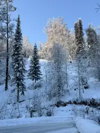 美的不真實地貌