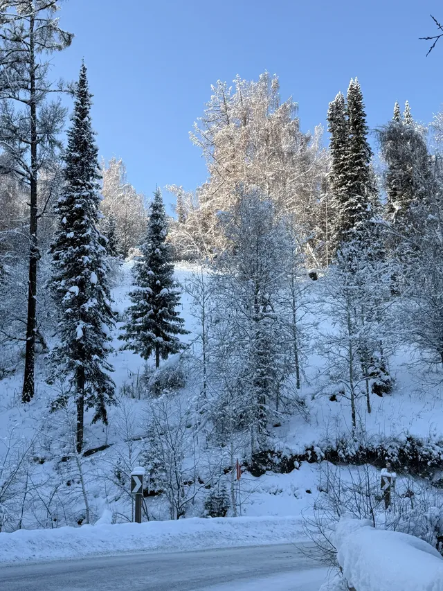 美的不真實地貌 美的不真實地貌