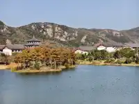 觀音法界｜中式美學的恢宏震撼