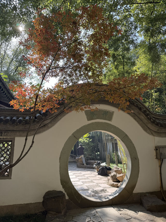 一座公園愛上一座城|我見到駱賓王詩裡的鵝 一座公園愛上一座城|我見到駱賓王詩裡的鵝