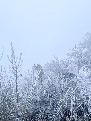 절경! 낙안 2026년 첫 서리꽃 등장!