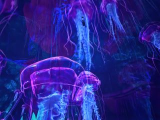 Jiuxiang's Off-Peak Treasure Hunt Guide During the Spring Festival: Experience the Uninhabited Jiuxiang