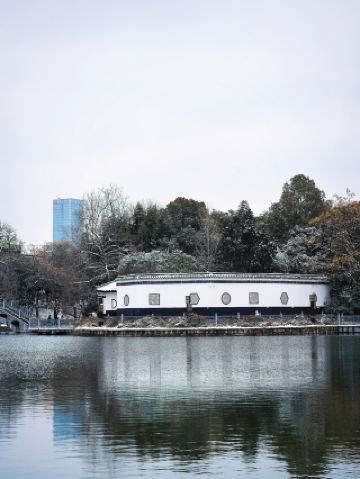 ดอกบ๊วยฤดูหนาวบานสะพรั่งท่ามกลางหิมะ ณ วัดเป่ากง เมืองเหอเฟย | ความงามอันสงบและเปี่ยมด้วยบทกวีที่คงอยู่ชั่วนิรันดร์