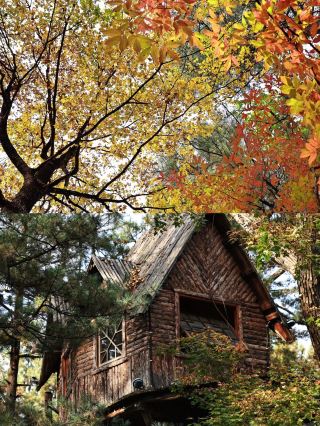 Explore Lushui River Park in Baishan City, Jilin Province!