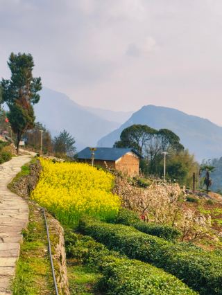 2-Hour Direct Access to a Cliffside Secret Spot: Safety Guide + Photography Tips Fully Revealed!