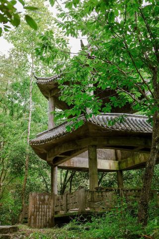 黃山夏日溯溪玻璃水——徽隱山下