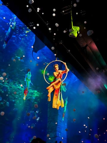 Zhengjia Polar Ocean World is making a splash again | Trip.com