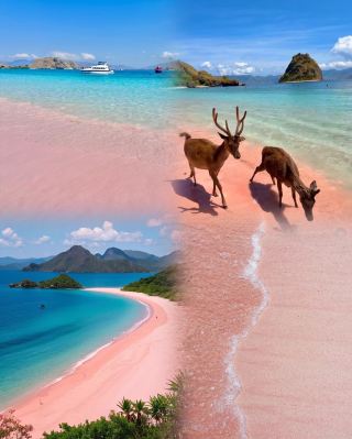 Pink Sand Beaches That Look Too Beautiful to Be Real 👀
