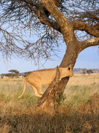 夏休みにタンザニアなど複数国を巡る旅 こんな遊び方が最高