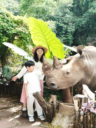 Pu'er family travel guide | absolutely amazing! Up close