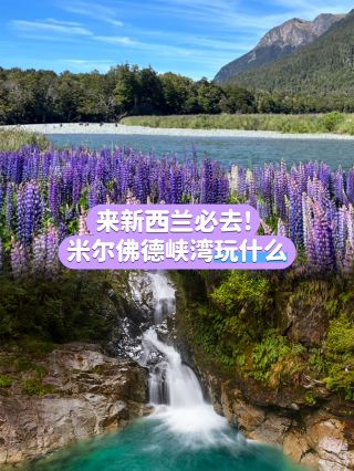 Milford Sound: Complete May Check-in Guide