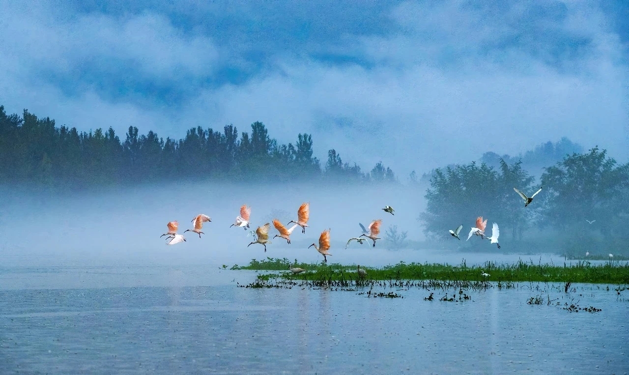  Thought you had stepped into an ink painting? Actually, you’ve arrived in Xixiang, Shaanxi!