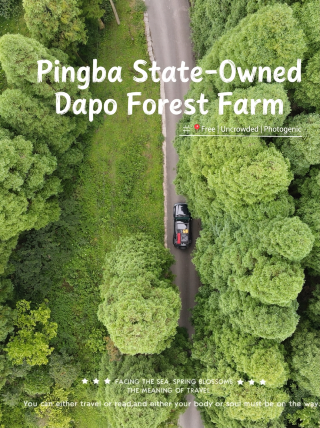 Secret spot near Guiyang with free entry | real-life twilight forest