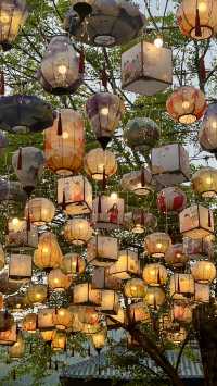 東山問梅村一日遊