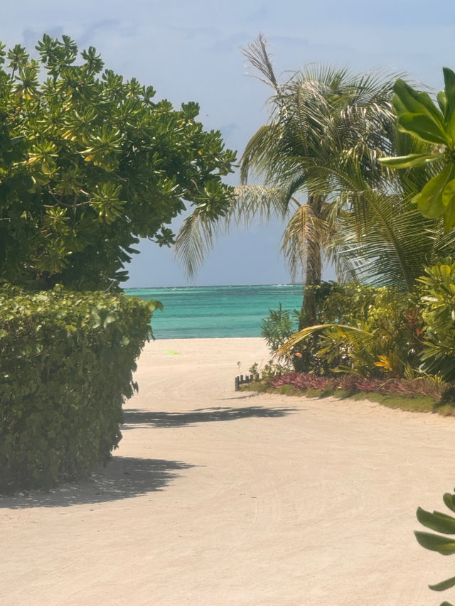 An Unforgettable Vacation