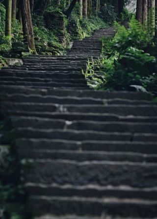 Mount Emei: Low-Altitude Tranquility | One-Day Trip!