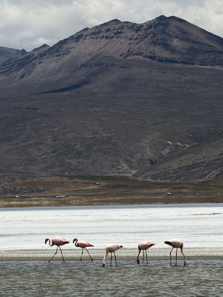 October holiday 12-day Peru trip guide: worry-free and photogenic