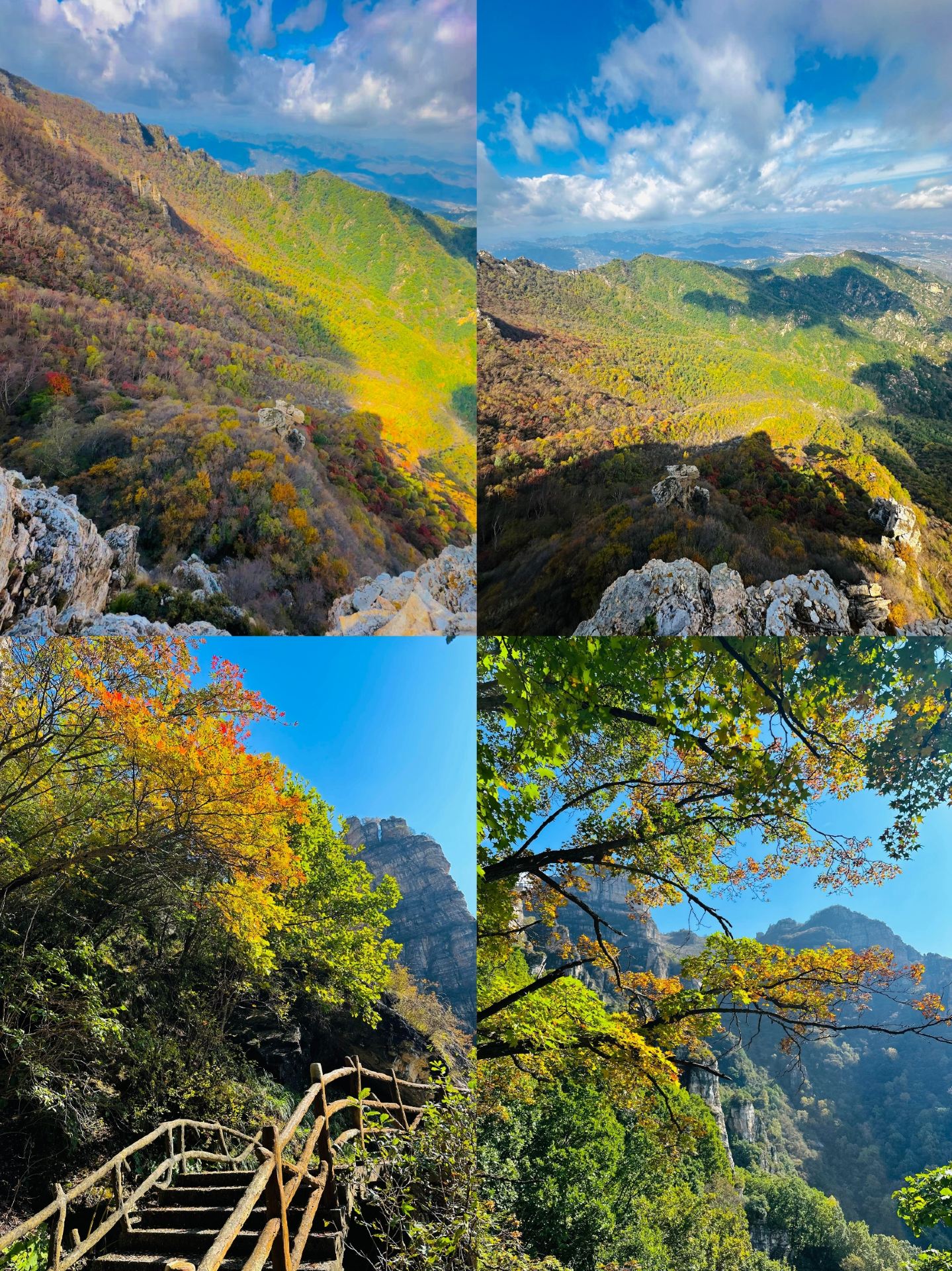 懶人帶狗徒步白石山