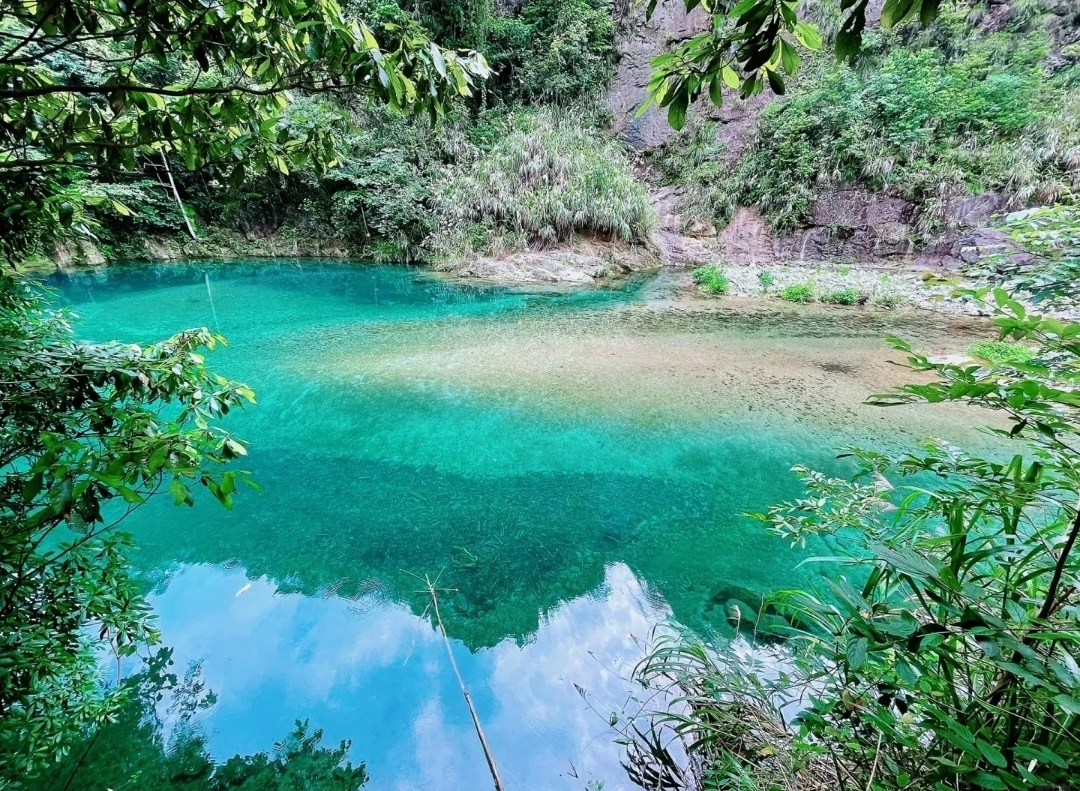 Yushan Food & Fun | After the scenery, dive into a satisfying late-night feast