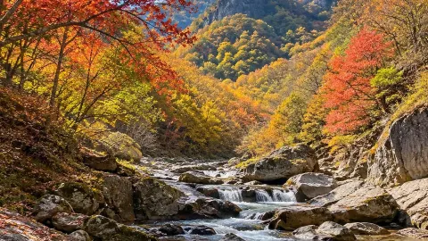 Как провести время в Лаобяньгоу на праздник Национального дня — traveler post in Бэньси