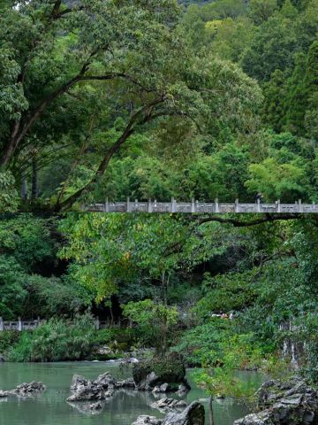 Having walked the entire route at Longgong, let me share my honest thoughts!