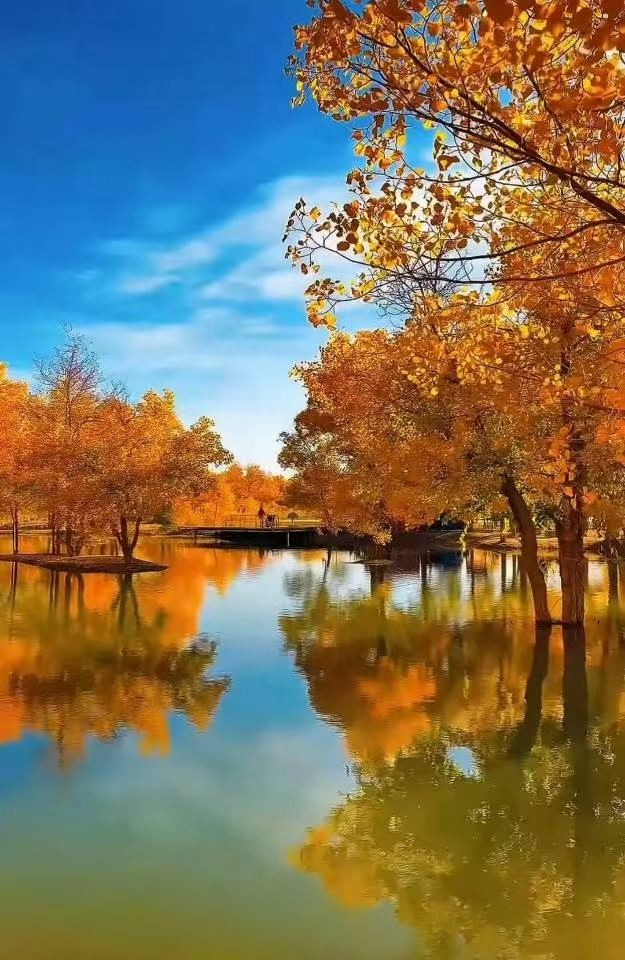 It is the perfect season to see the Populus euphratica in Luntai. Stay at the Licheng Baihe Garden Hotel
