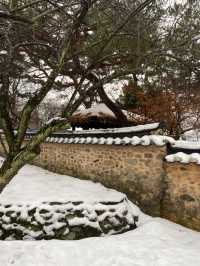 눈이와도 예쁜 마을❄️ <아산 외암민속마을> 